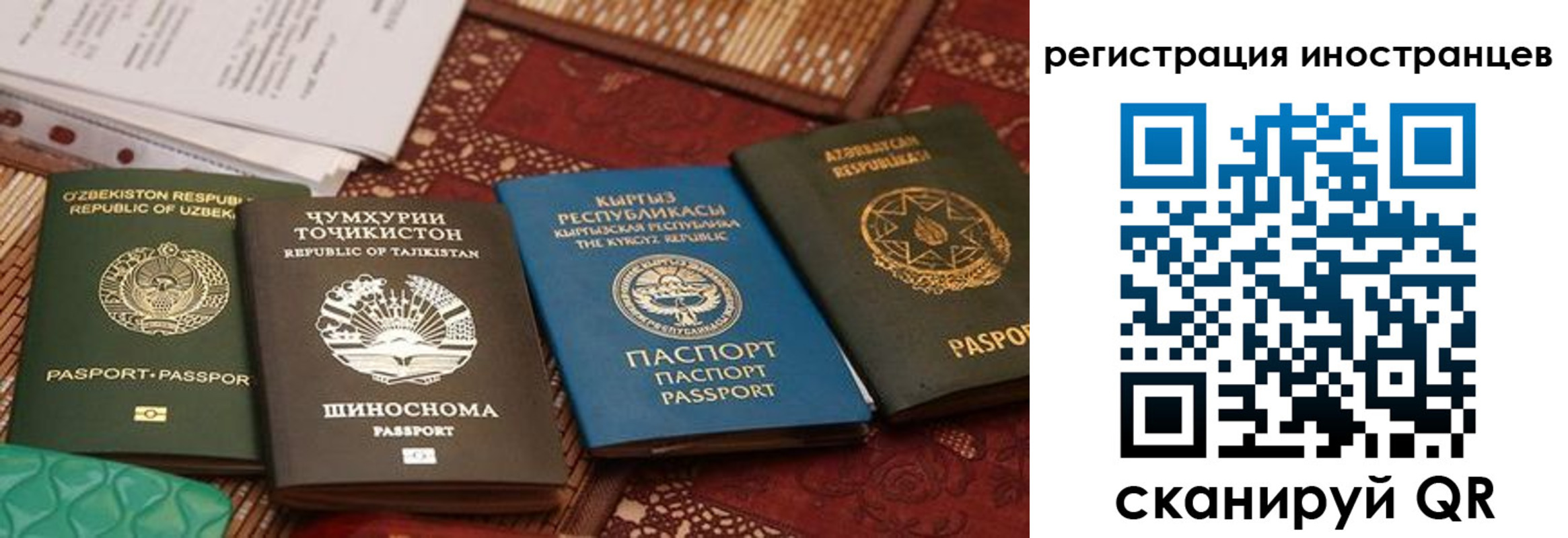 временная регистрация госуслуги в Александрове